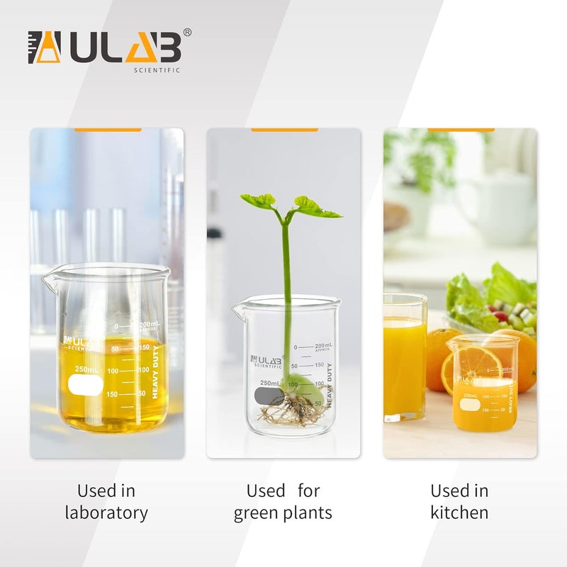 ULAB Heavy Duty Glass Beakers, 6pcs of Vol.250ml(8.45oz), Borosilicate 3.3 Glass, Thick Wall Beakers, with Double Scale, Superior Durability & Chemical Resistance, UBG1055 - Image 4